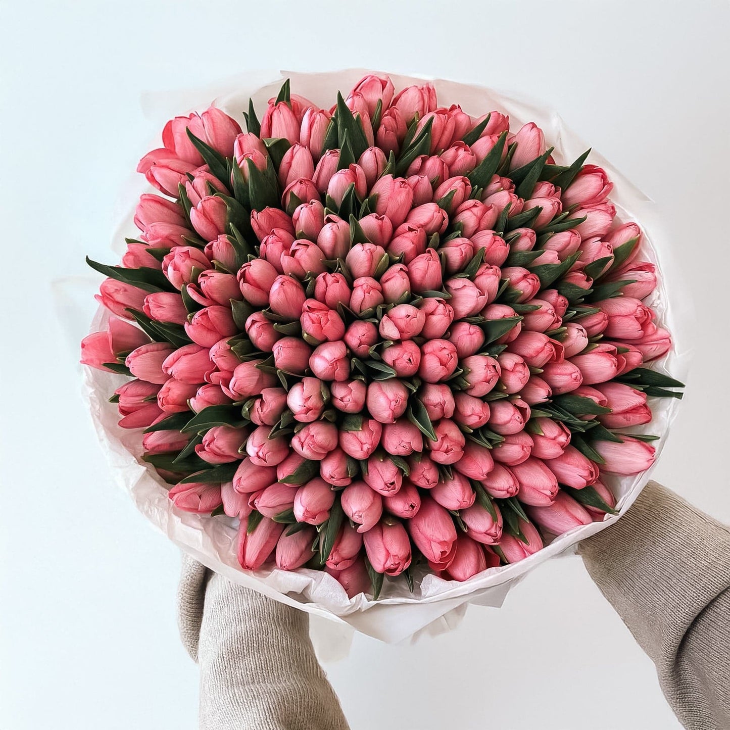Pink Tulips - Flowers Valley Shop