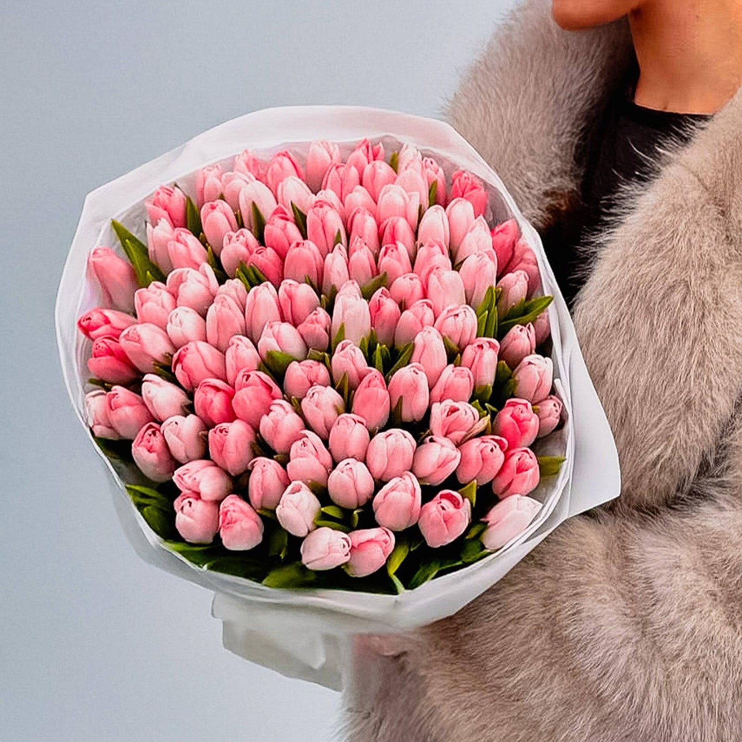 Pink Tulips - Flowers Valley Shop