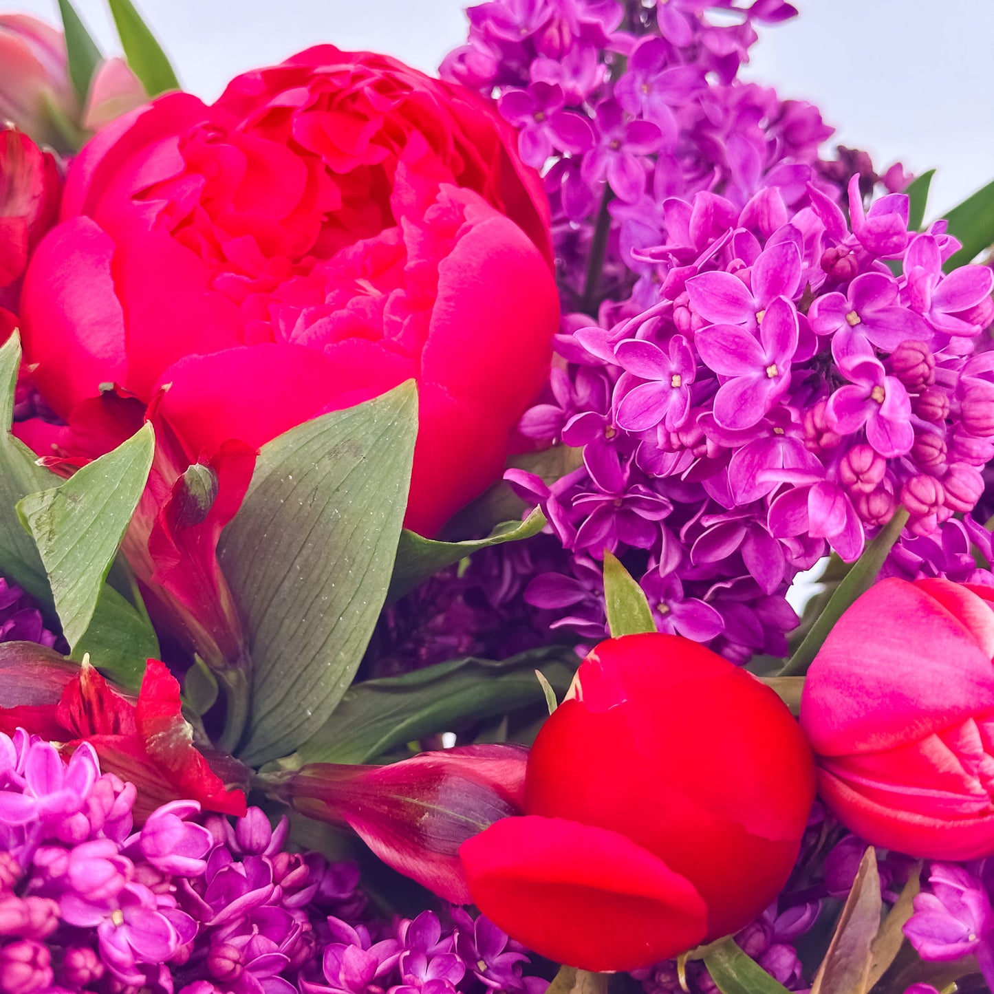 Berry Blush