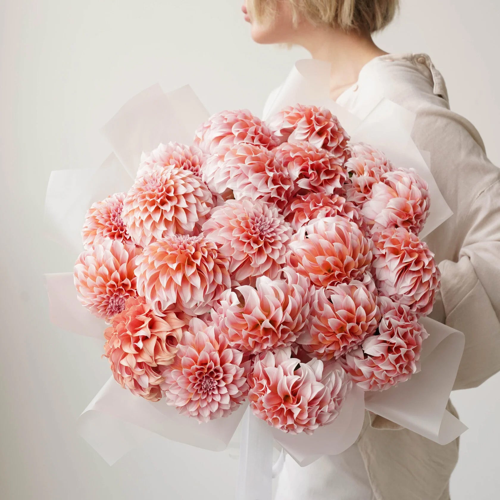 Blush Dahlia Cloud