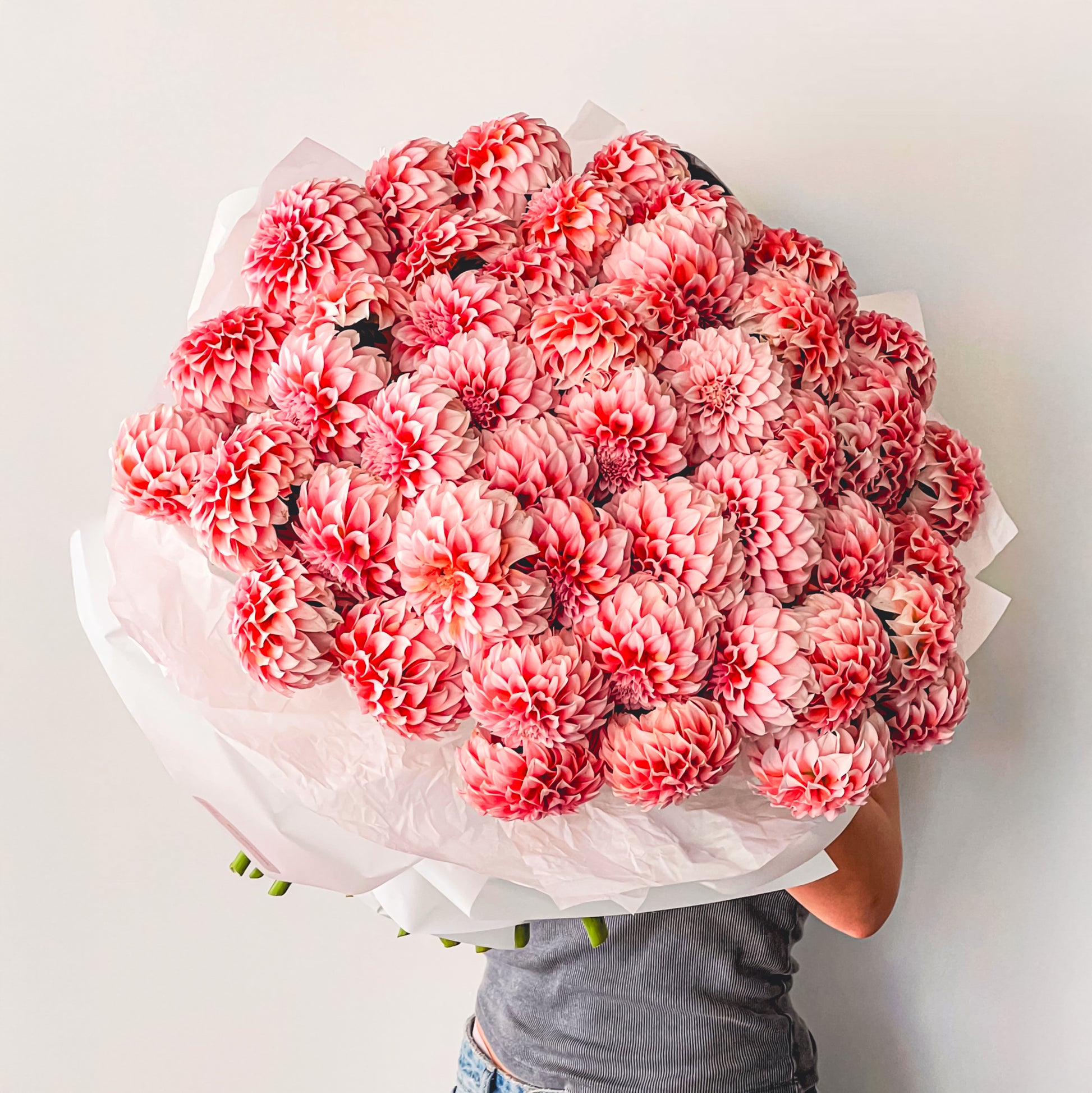 Blush Dahlia Cloud