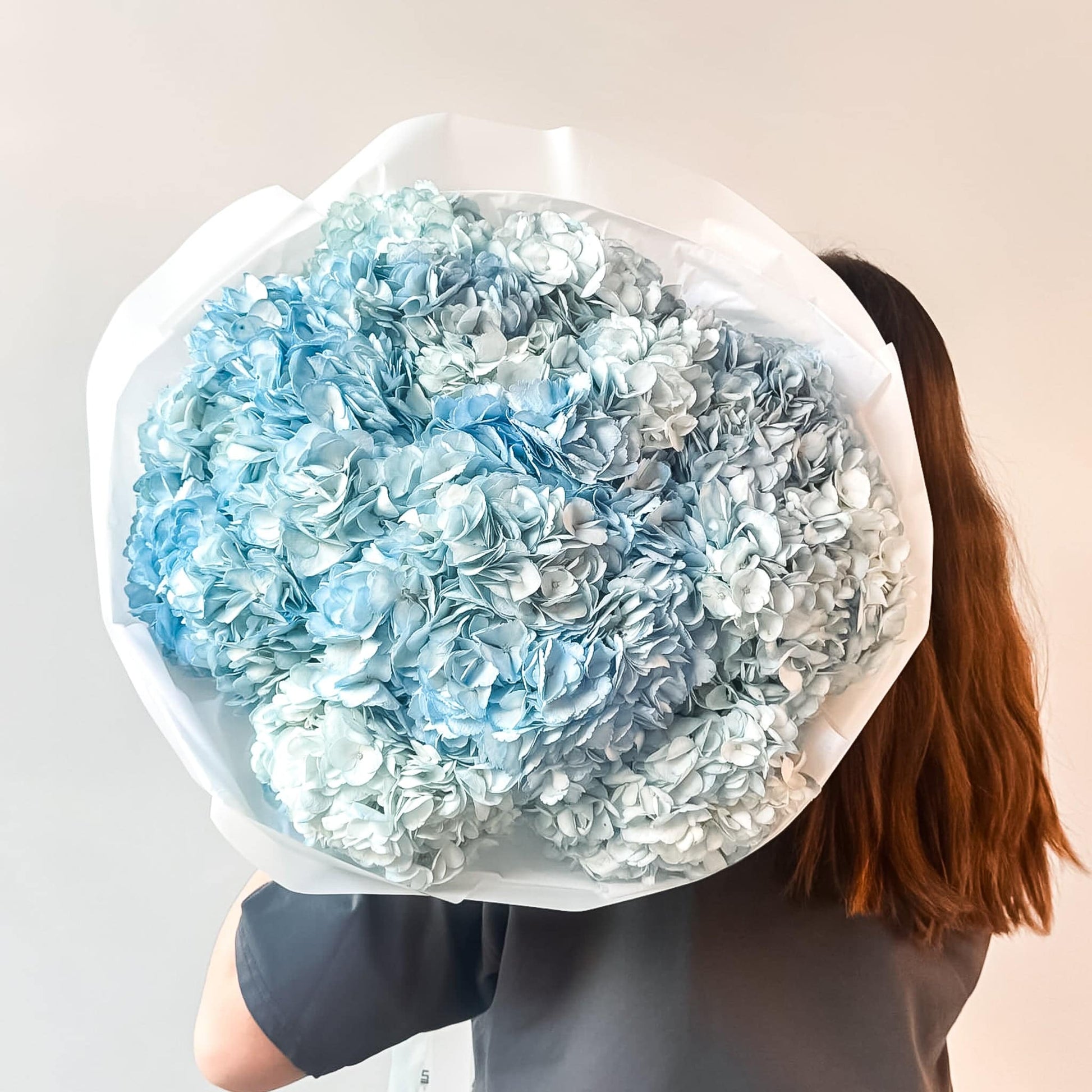 Rounded bouquet of light powder blue hydrangeas—held in soft lighting for a dreamy feel.