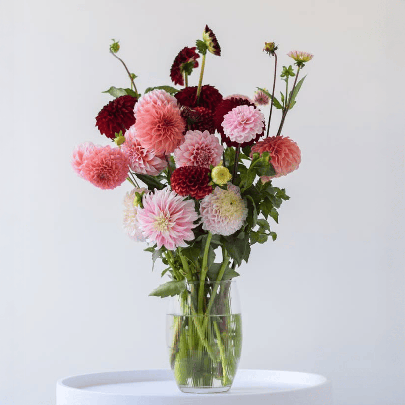 Grand - Flowers Valley Shop