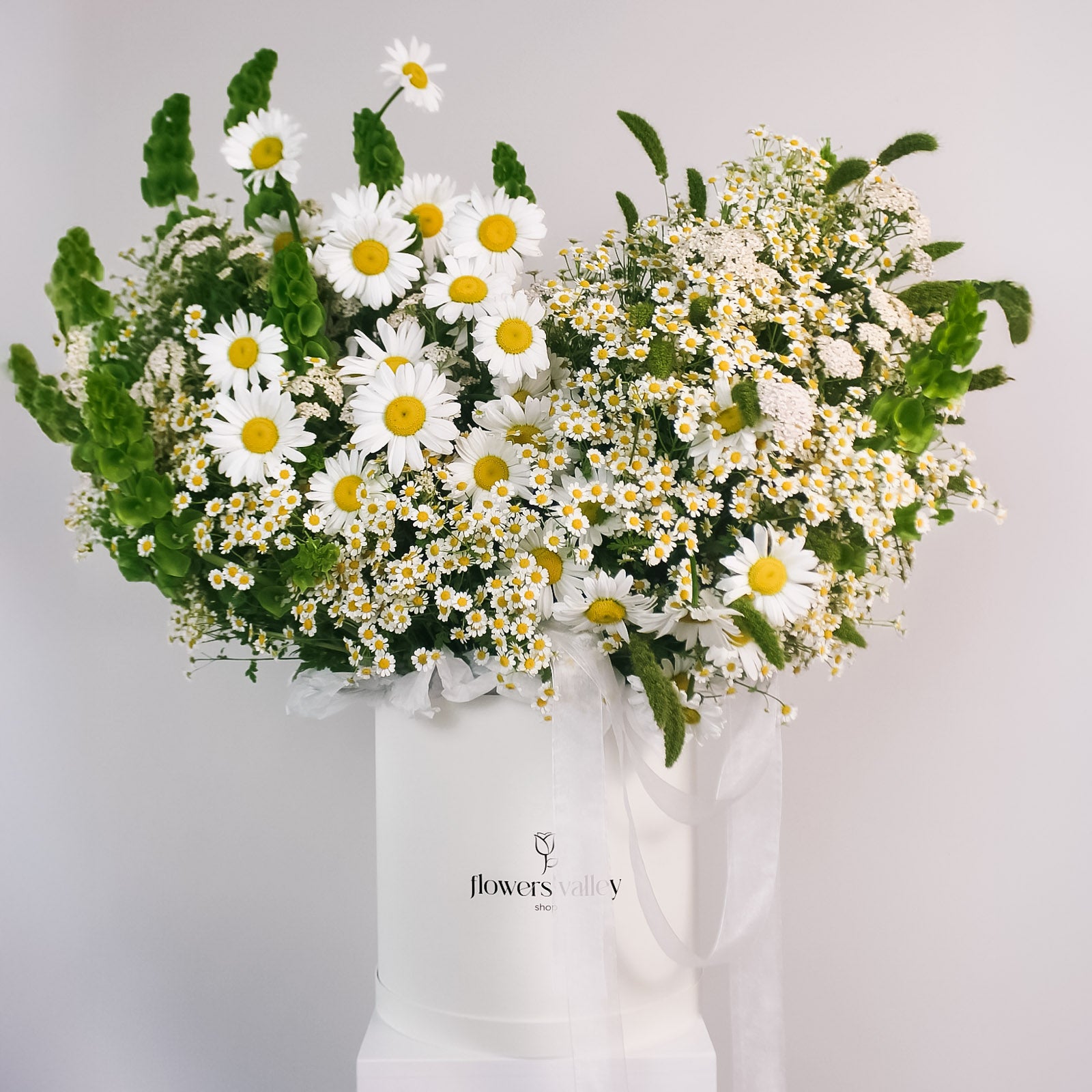 Hat box arrangement of white daisies, chamomile, yarrow, and bells of Ireland in a white Flowers Valley box with soft white ribbon.