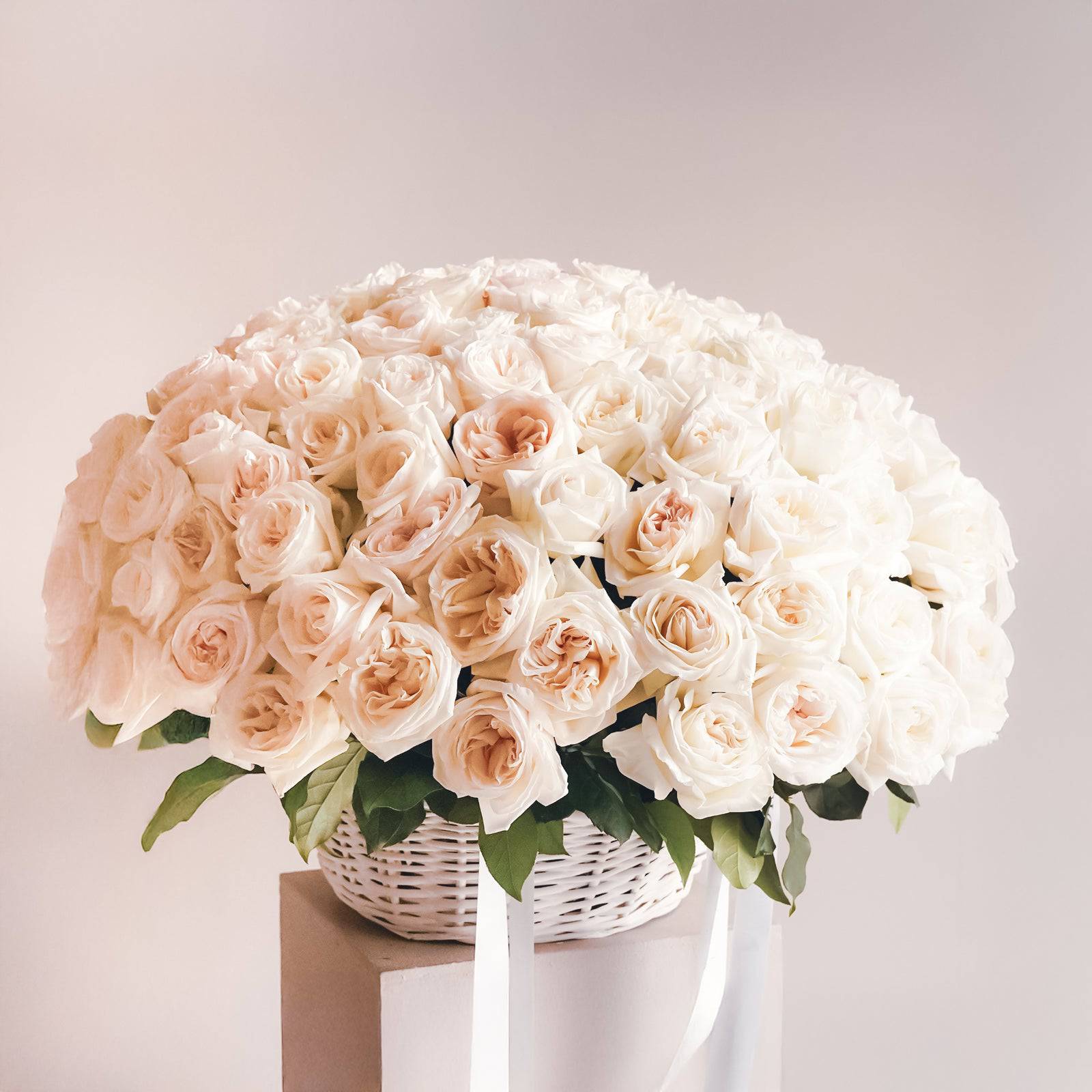 Elegant white basket filled with soft white O’Hara garden roses—lush, romantic, and perfectly arranged.