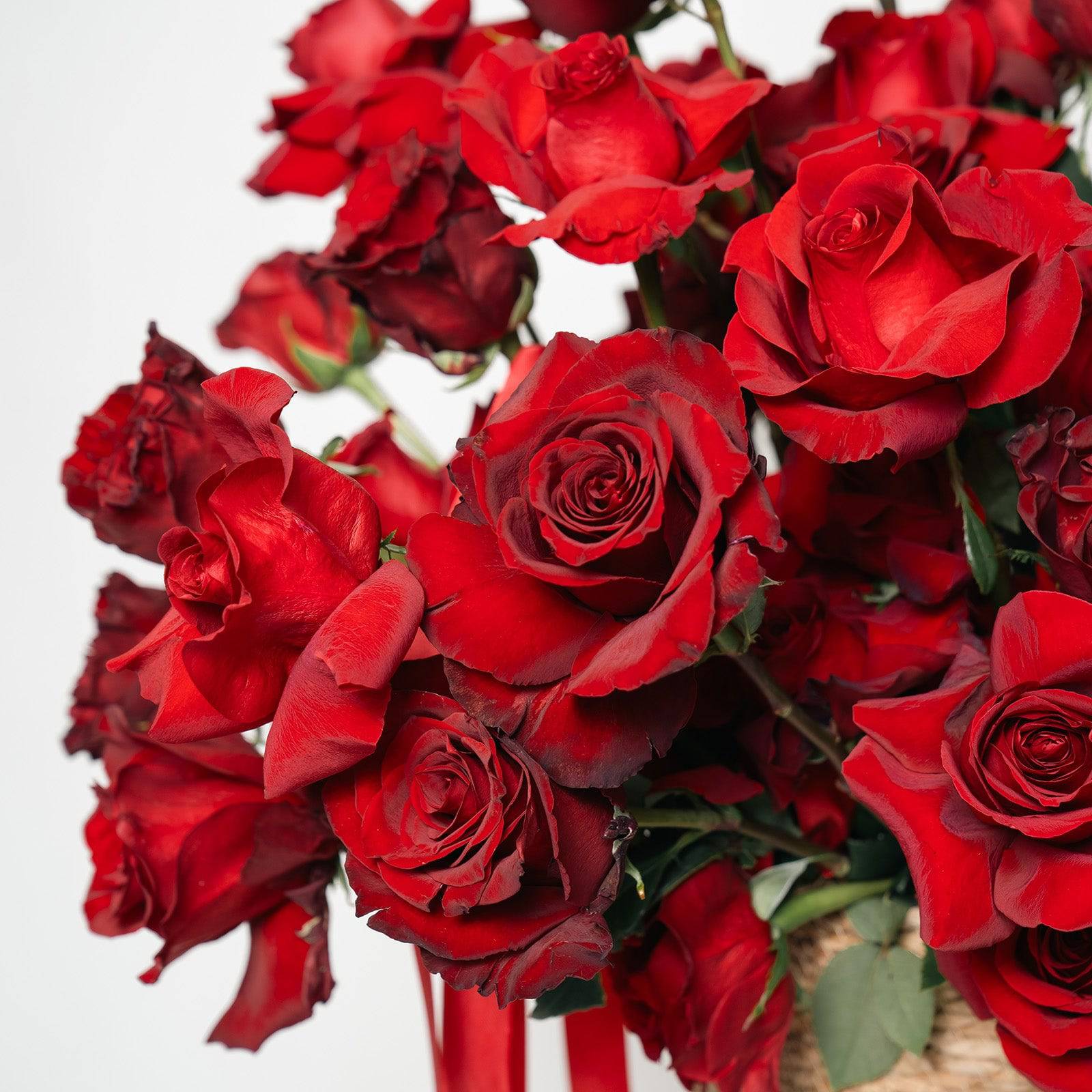 Close-up of deep red roses arranged tightly in a round box with red ribbons—classic and elegant.