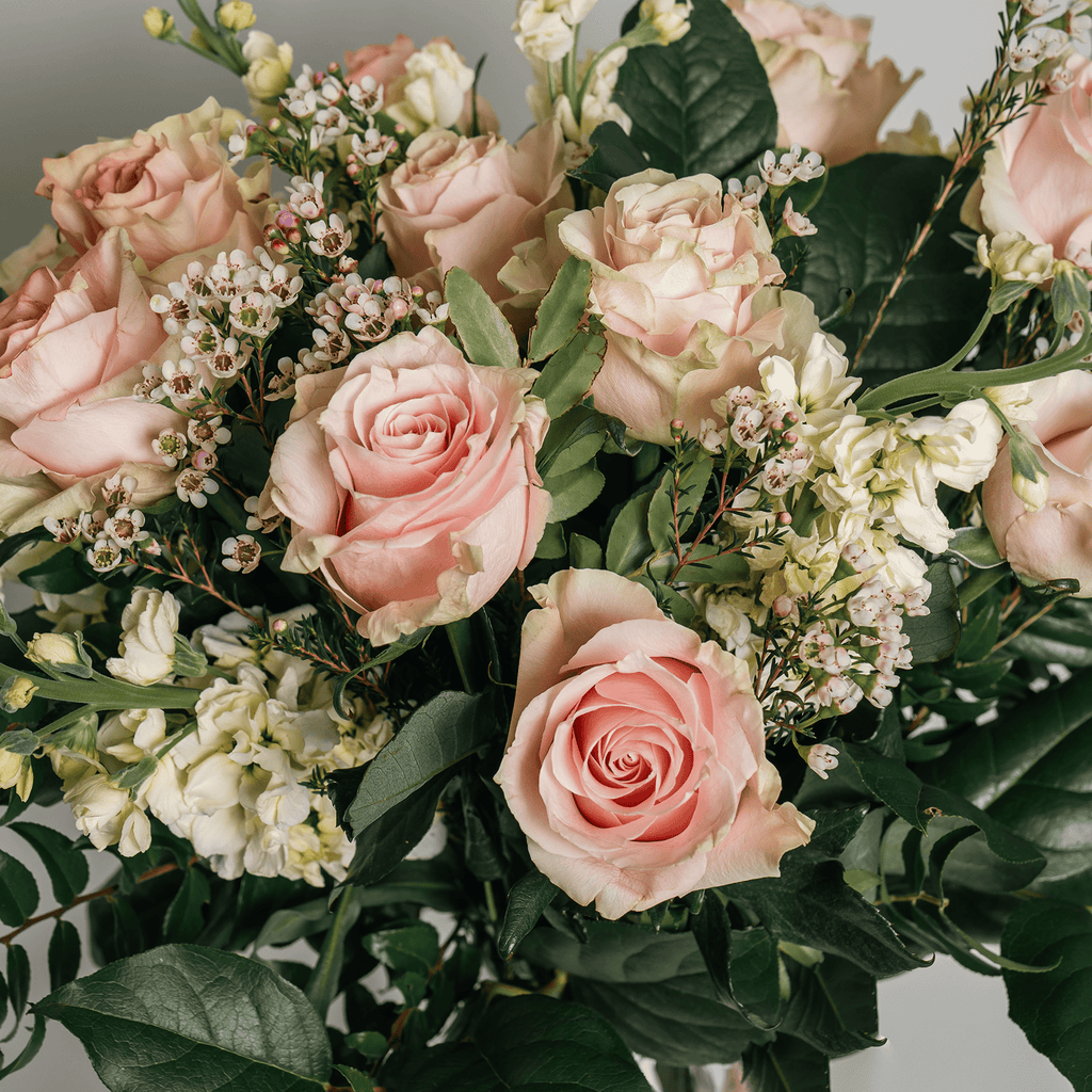 Timeless Blush - Flowers Valley Shop