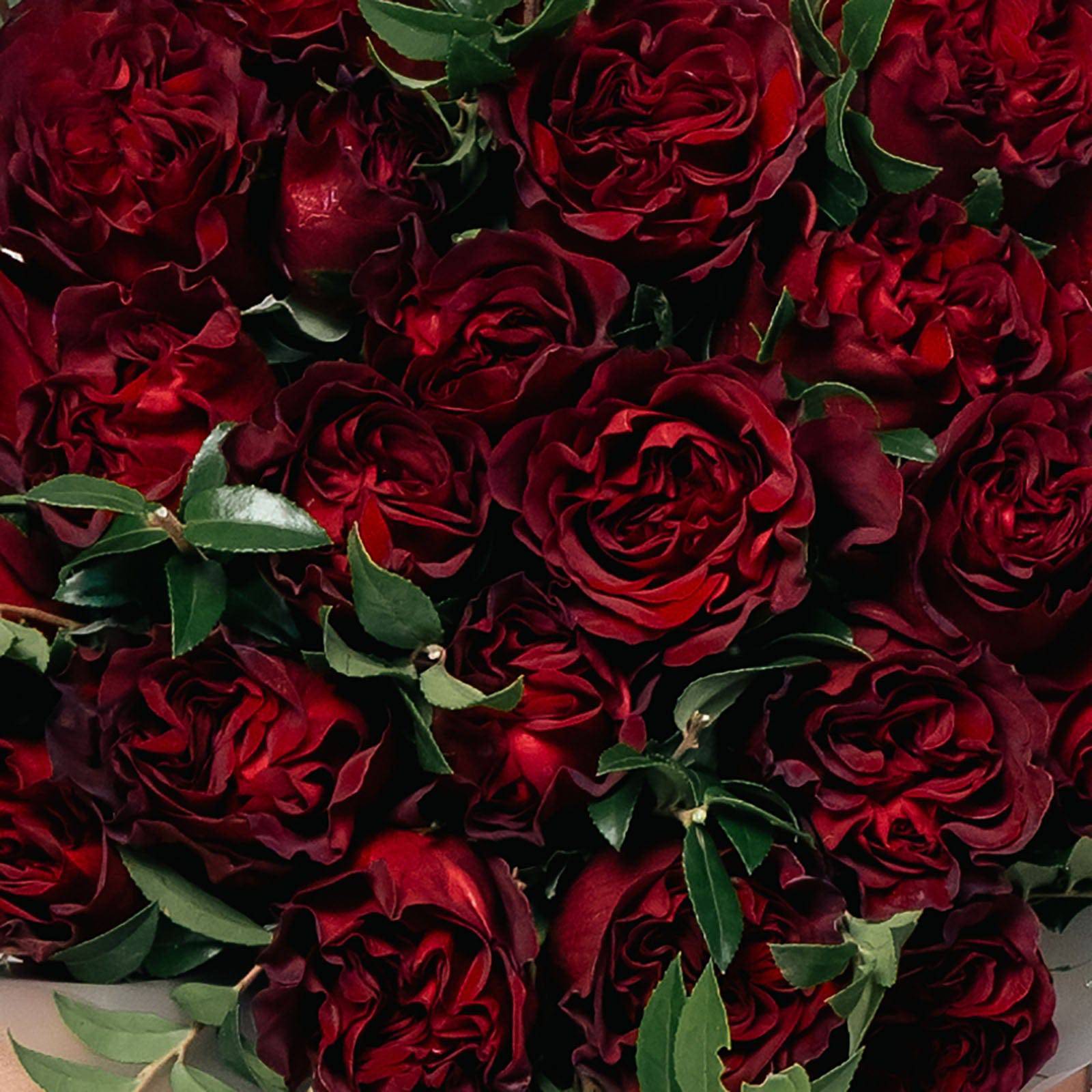 Lush close-up of velvety red roses tightly arranged with greenery for a rich, romantic look.