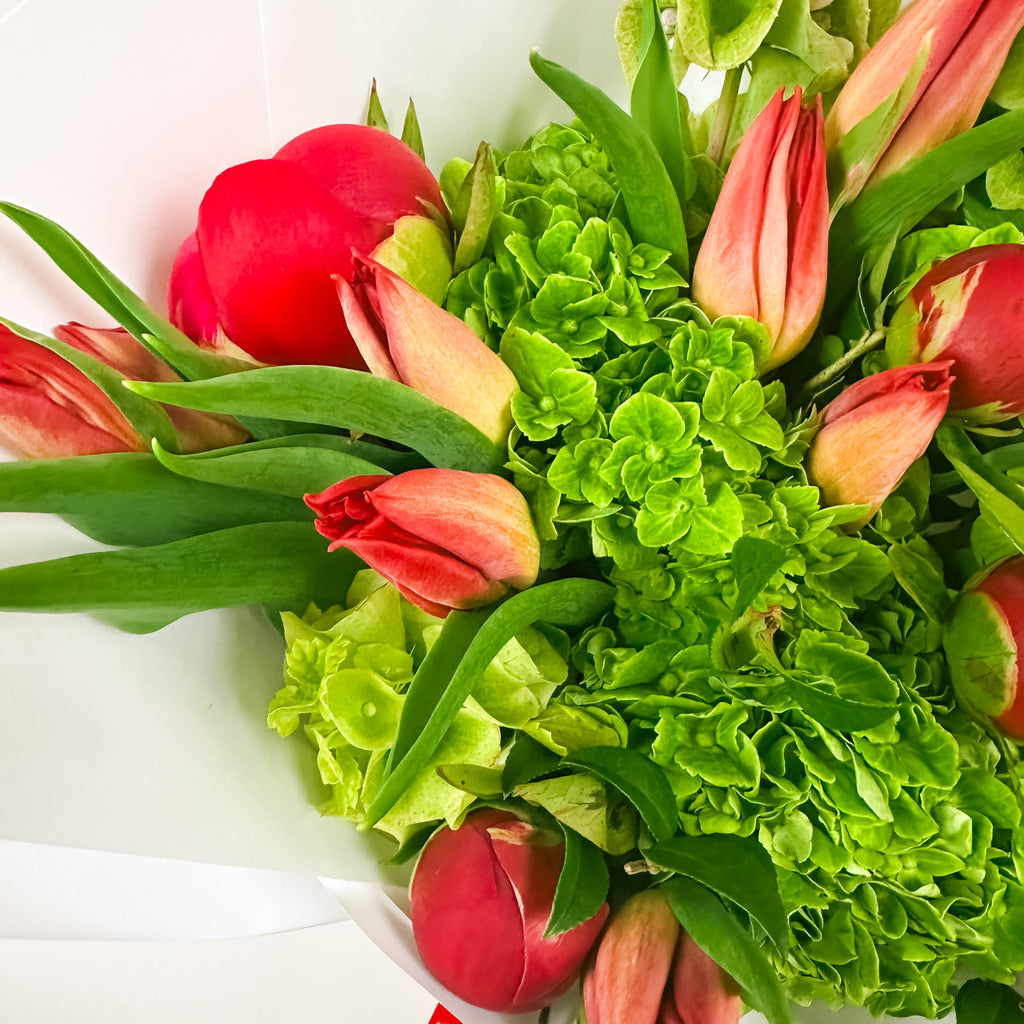 Scarlet Spring - Flowers Valley Shop