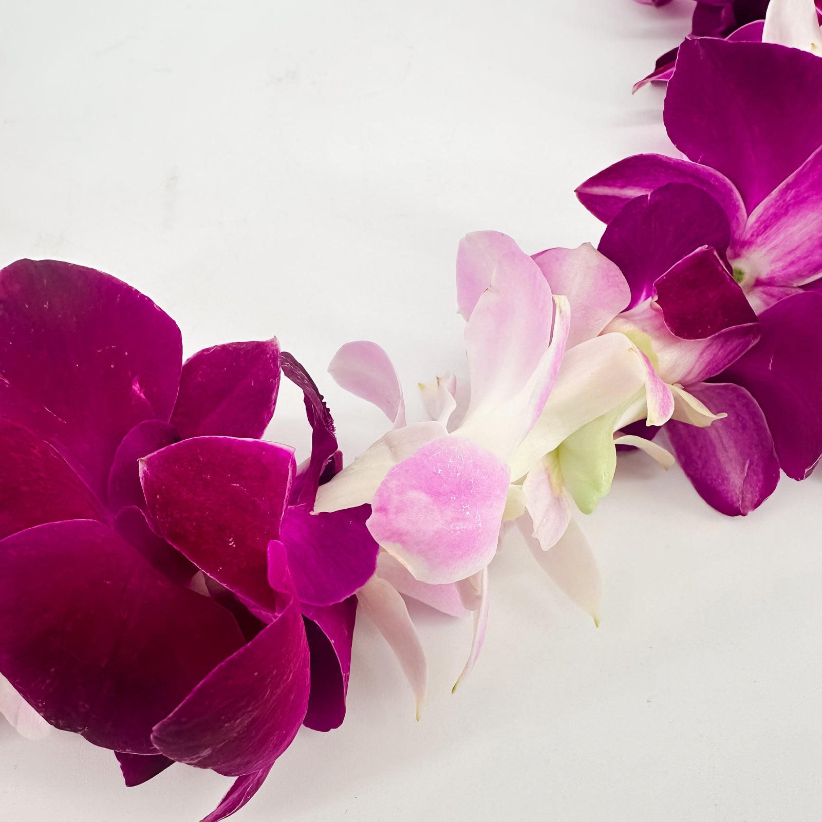 Classic Orchid Lei – Lavender Blush - Flowers Valley Shop