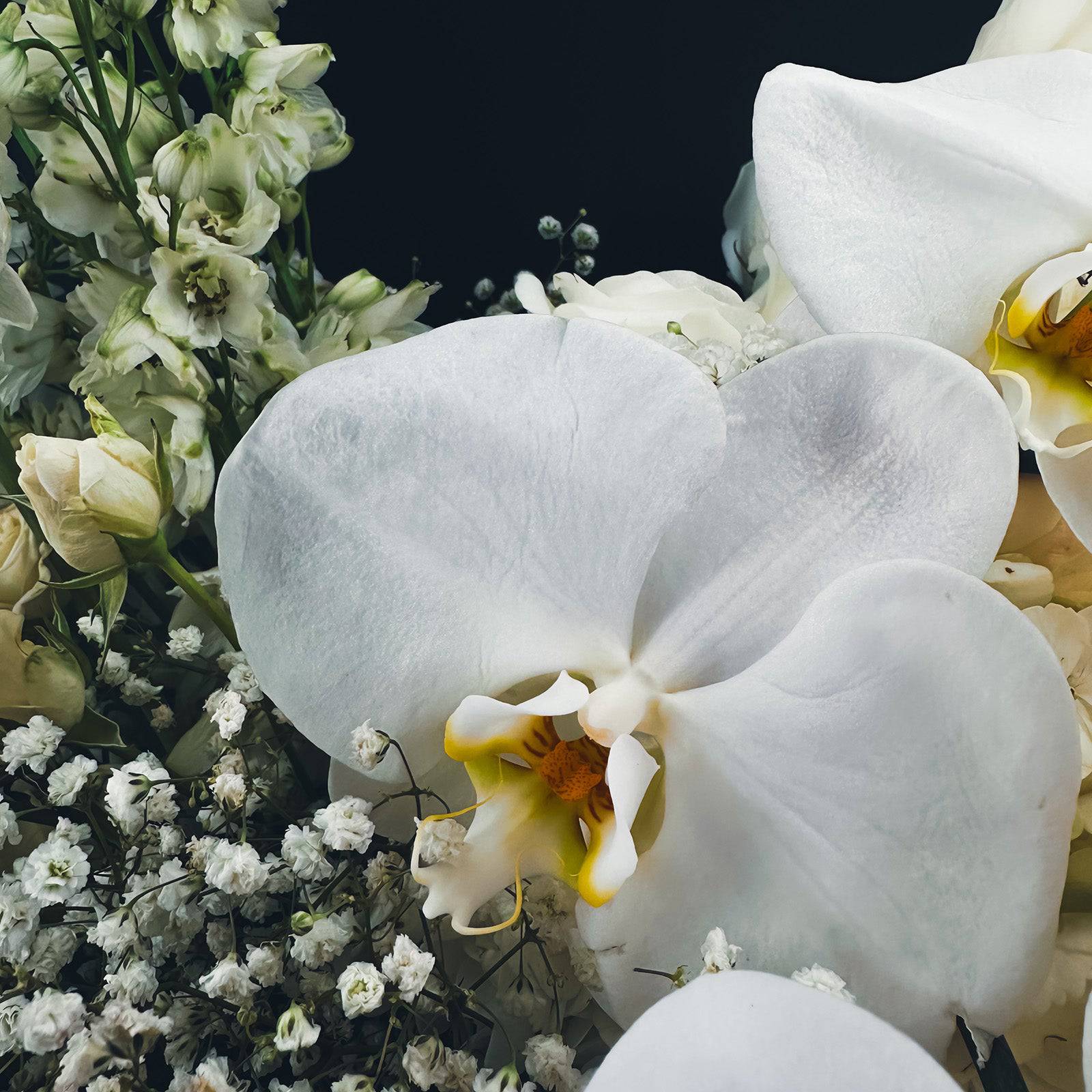 Moonlit Whisper - Flowers Valley Shop