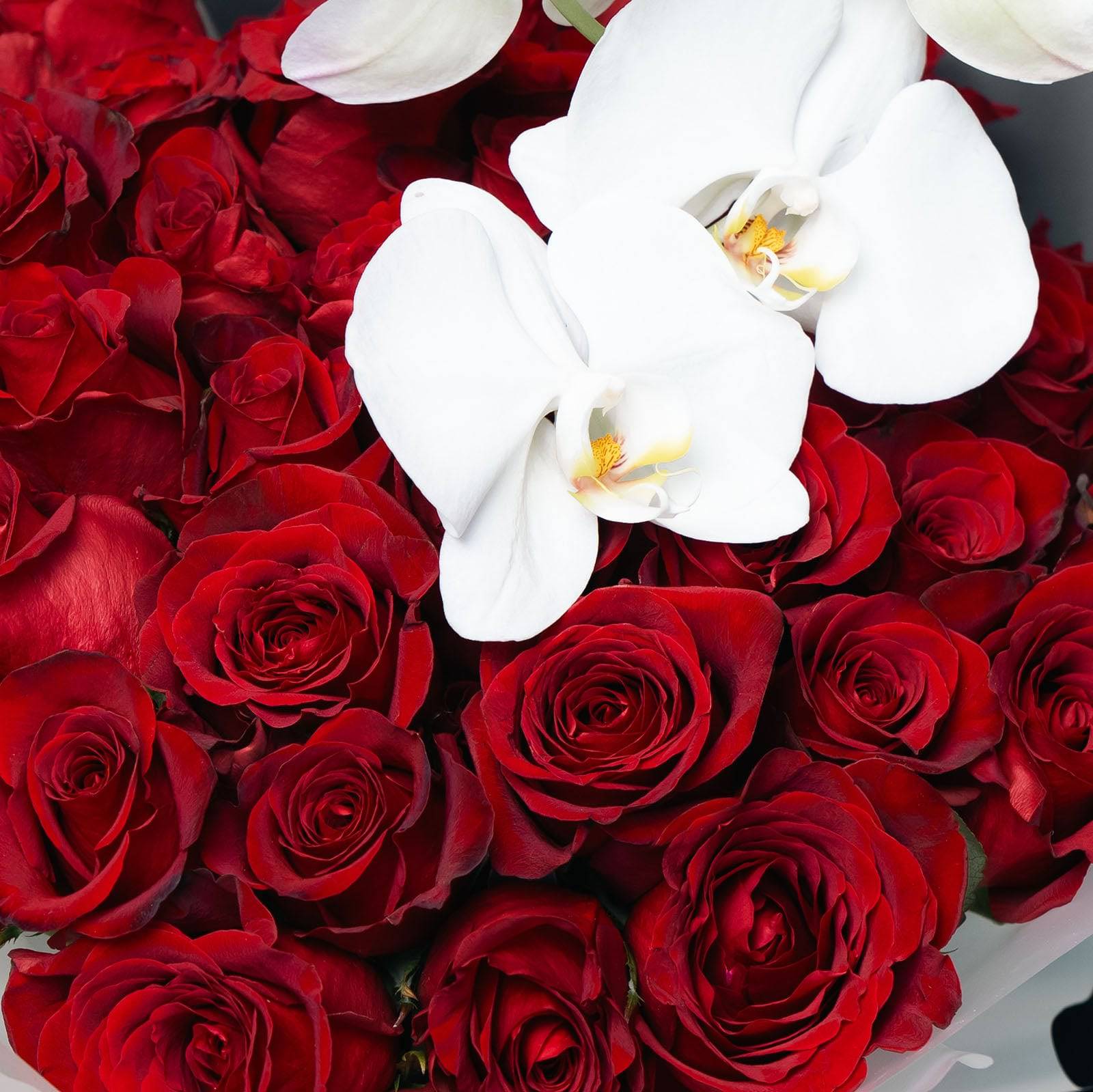 Close-up of red roses and Phalaenopsis orchid in romantic bouquet