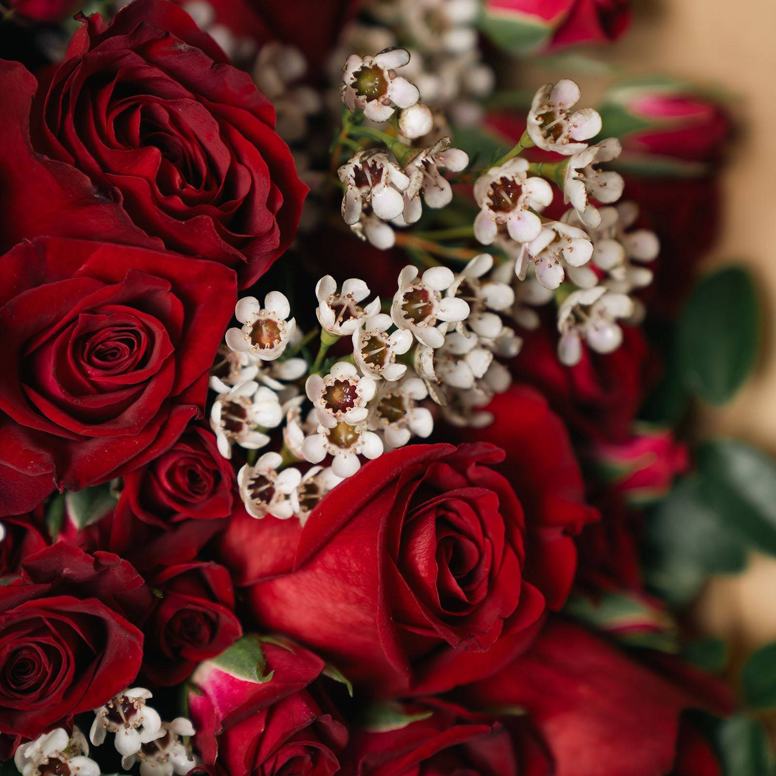 Close-up of red roses and white filler flowers from Scarlet Charm bouquet