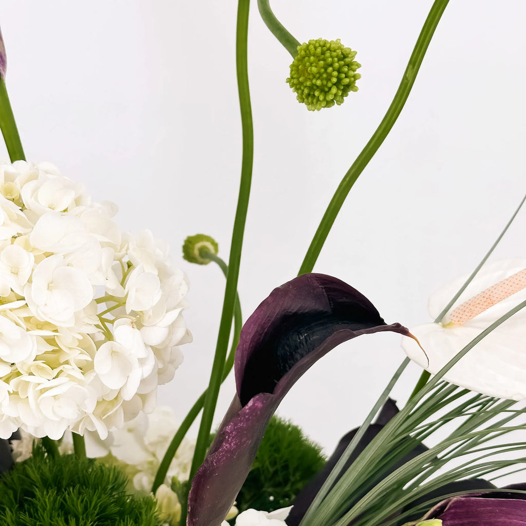 Close-up of black calla lilies and white hydrangeas in modern luxury flower arrangement – next day delivery Bay Area