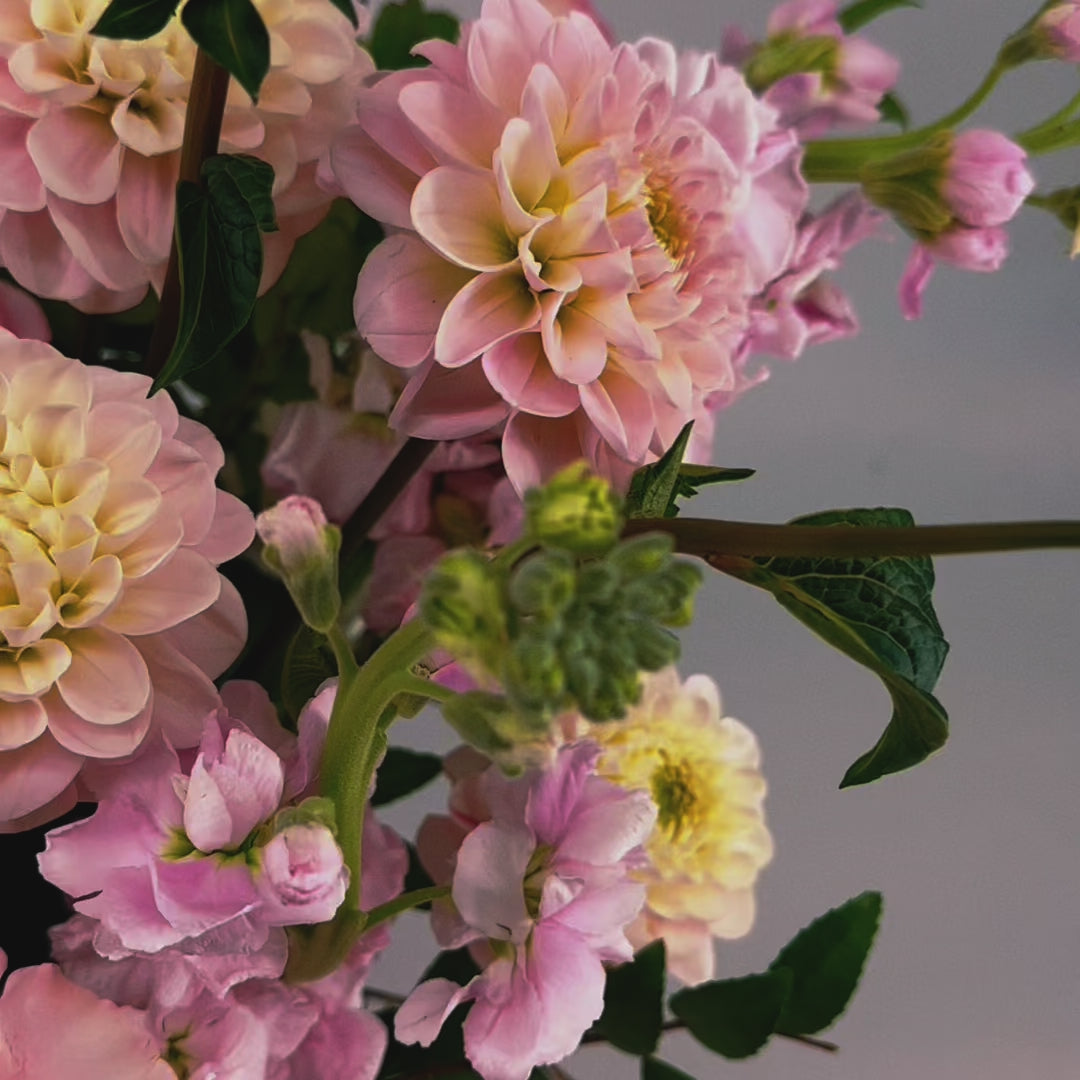 Petal Poetry