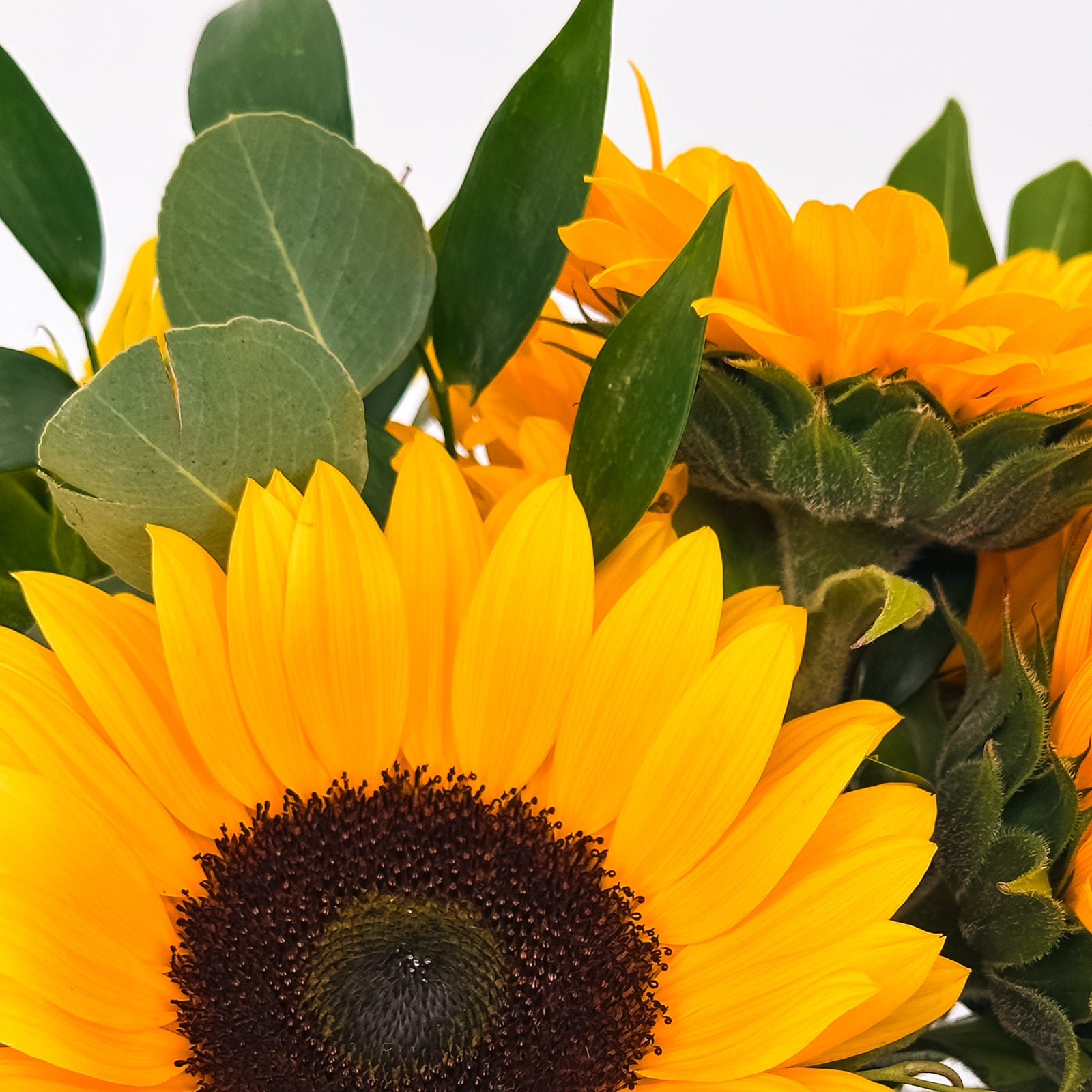 Close-up view of vibrant sunflowers with green eucalyptus, part of the Summer Glow flower arrangement, for premium Bay Area delivery from The Flowers Valley.